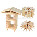 300pcs Learning Center Classic Toy Wooden Construction Bricks